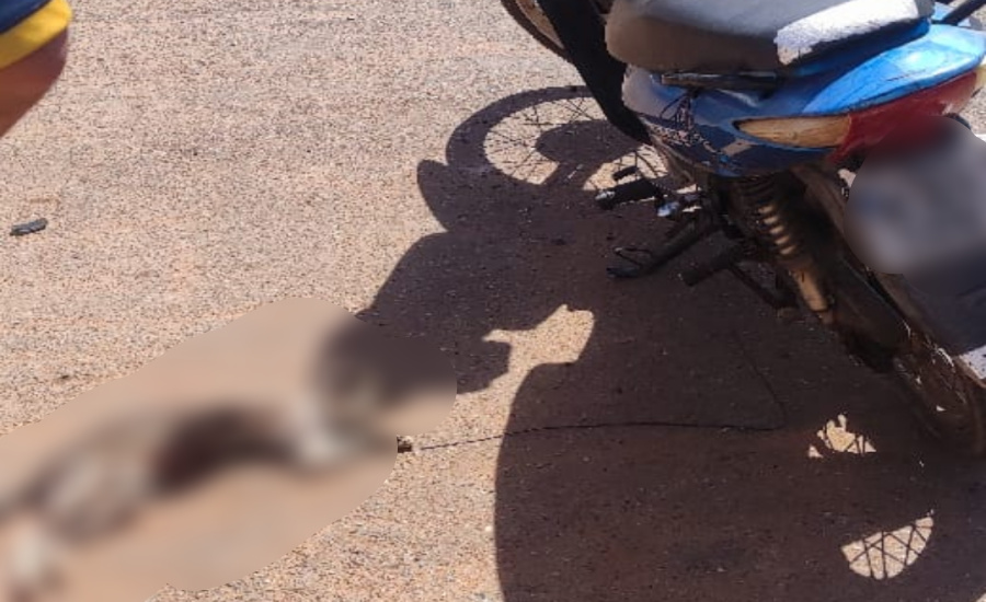 Policia é acionada após populares flagrarem idoso arrastando gato pelas ruas de Rondonópolis 1