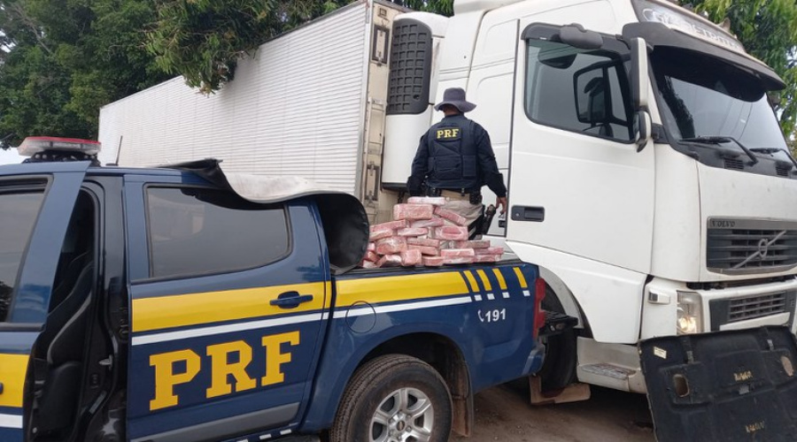 Motorista é preso após ser flagrado com cerca de 240 kg de droga em meio a carga de carne na BR 364 1