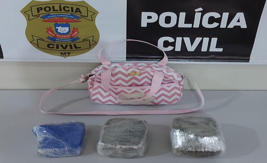 Polícia Civil apreende bolsa infantil carregada com pasta base de cocaína 1