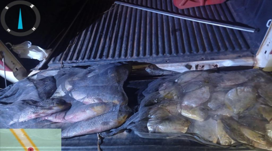 Sema e PM apreendem 42 kg de pescado ilegal em Santo Antônio de Leverger 1