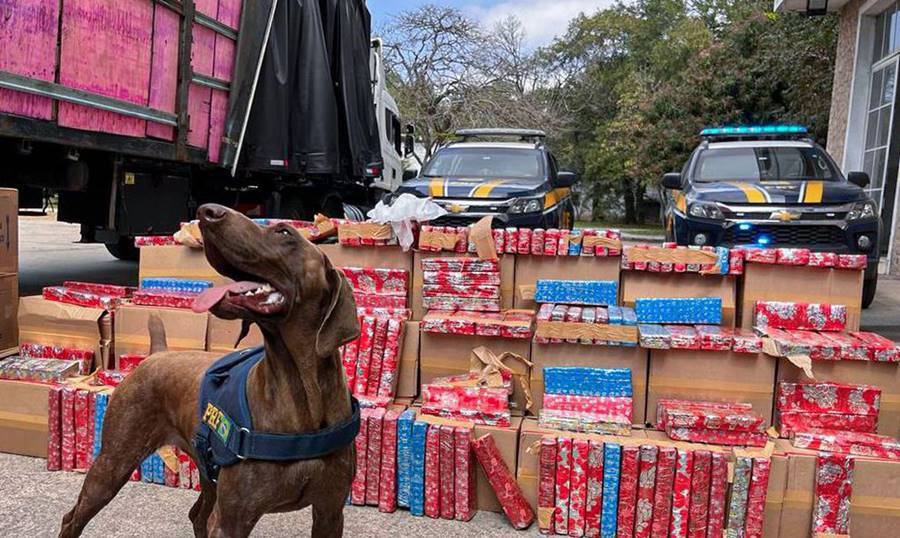 PRF apreende 2 toneladas de maconha escondida em carreta na Via Dutra 1