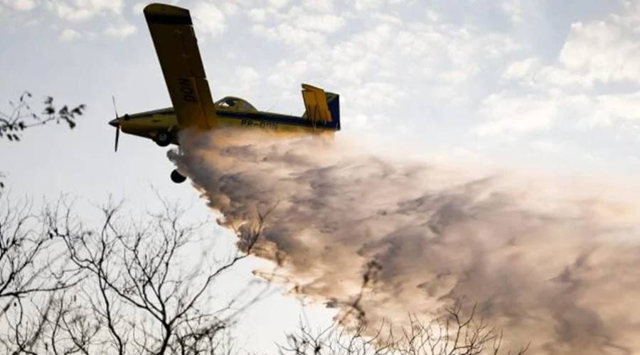 Mato Grosso: número de focos de calor em agosto é o menor nos últimos 15 anos 1