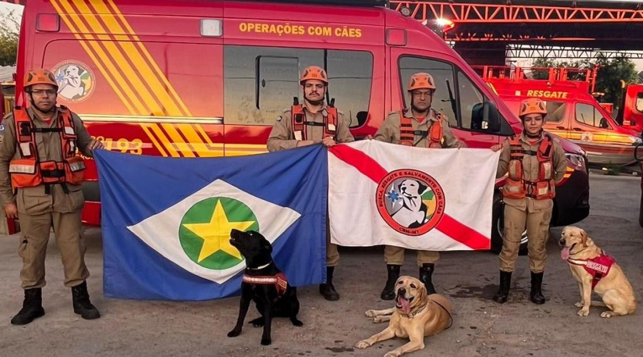 Bombeiros e cães de Mato Grosso auxiliam nas buscas por pessoas desaparecidas no RS 1