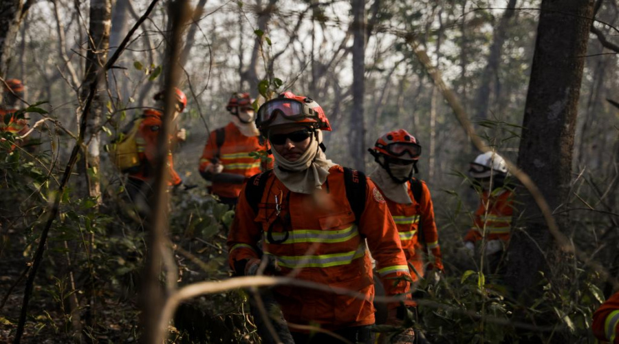 Mato Grosso reduz em 43% o número de focos de calor em 2023 1