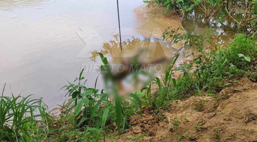 Corpo com perfurações no tórax é encontrado boiando nas águas do Rio Vermelho 1