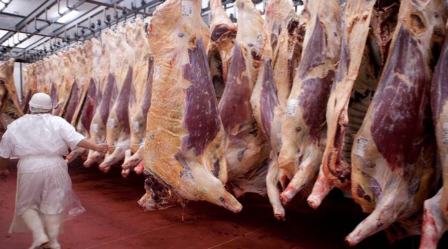 Produção de carne bovina em MT é 13,78 vezes maior que a demanda da população mato-grossense 1