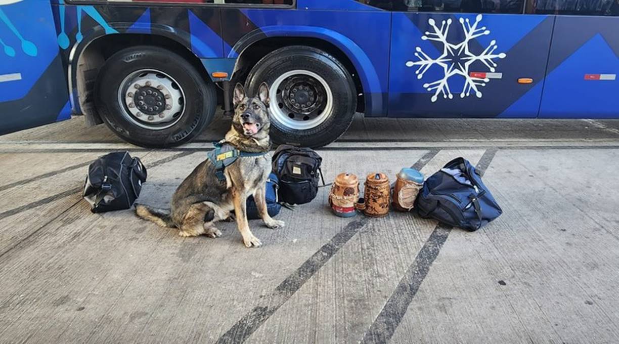 Apreensão de Drogas em Fiscalização na BR 364, km 387, Cuiabá 1