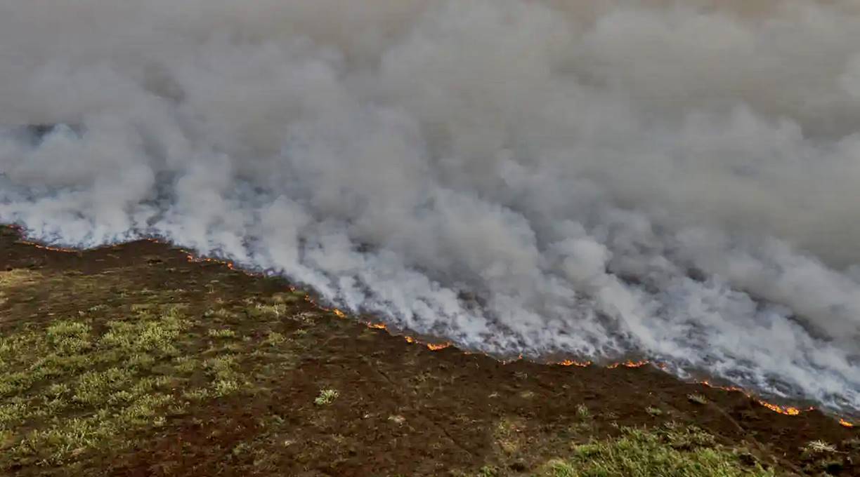 Brigadistas intensificam trabalho de combate a incêndios no Pantanal 1