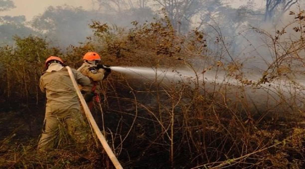 Governo de Mato Grosso decreta emergência ambiental para intensificar combate aos incêndios florestais 1