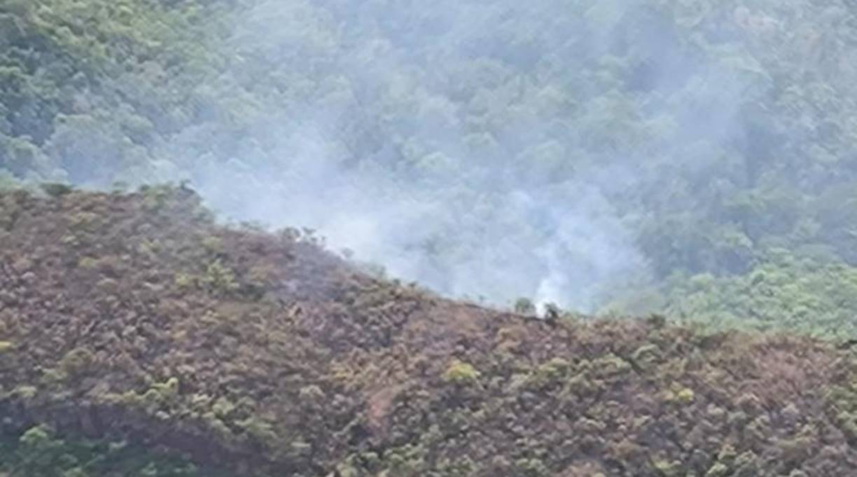 Corpo de Bombeiros combate incêndio nas proximidades de Santuário de Elefantes 1