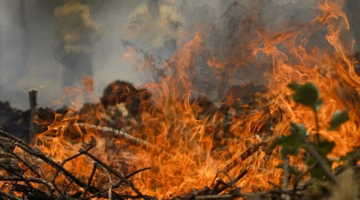 Fogo no Pantanal começou em fazenda; multa é de R$ 19 milhões 1