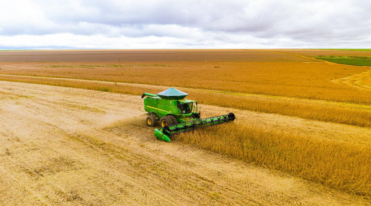 Prazo de plantio da soja é ampliado em Mato Grosso 1