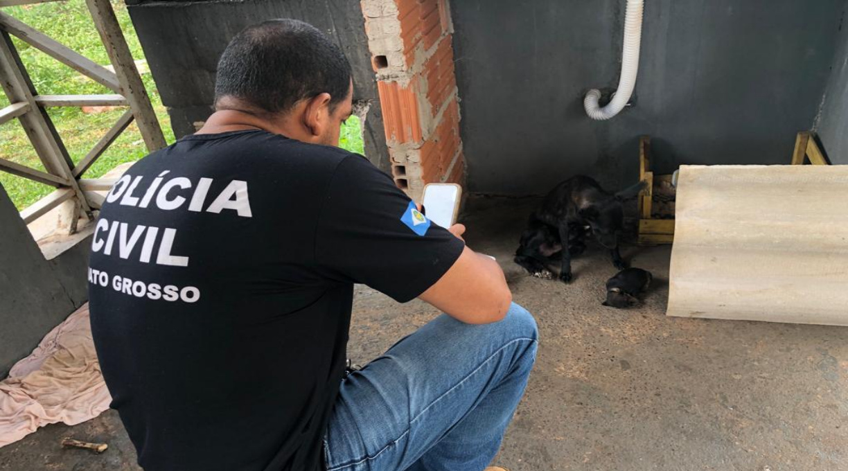 Dema apura denúncias de maus-tratos a animais em Cuiabá e Várzea Grande 1