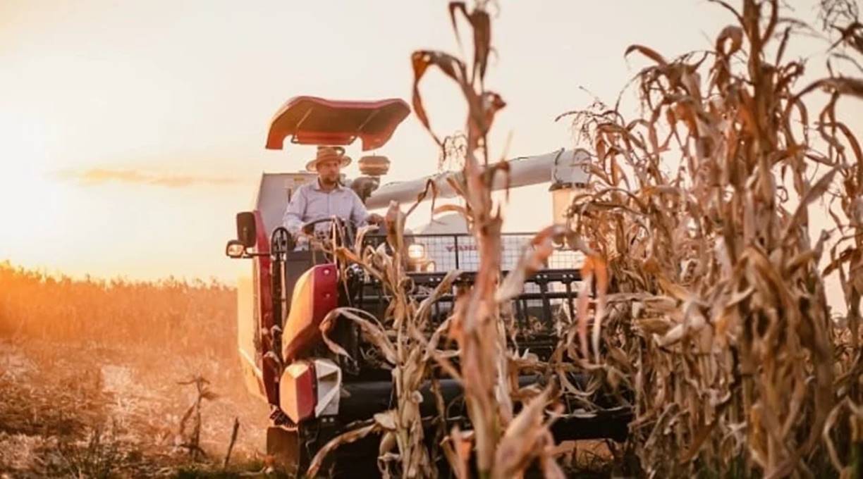 Vendas de máquinas agrícolas caem 29,1% em novembro no Brasil 1