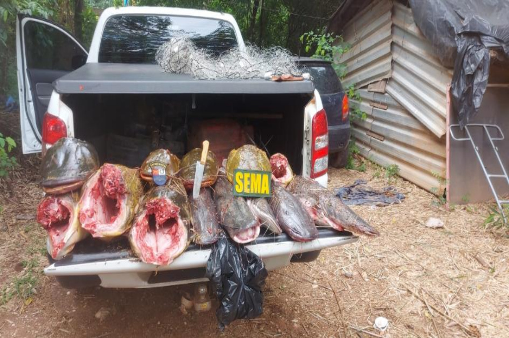 Sema apreende 118 kg de pescado ilegal durante operação na comunidade São Gonçalo Beira Rio 1