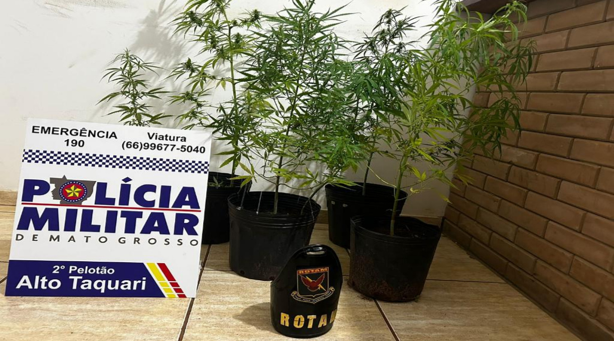 Rotam prende três homens por tráfico e apreende pés de maconha em Alto Taquari 1