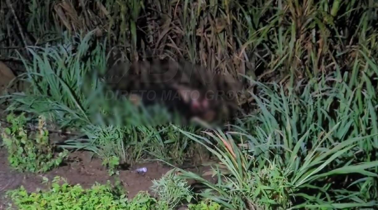 Colisão de alto impacto na BR 364 em Pedra Preta deixa idoso morto e mulher e criança feridas 1