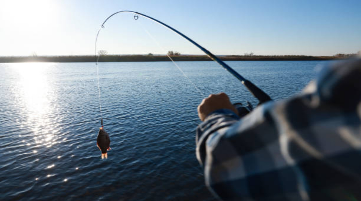 Governo de MT flexibiliza lei e libera pesca de mais de 100 espécies 1