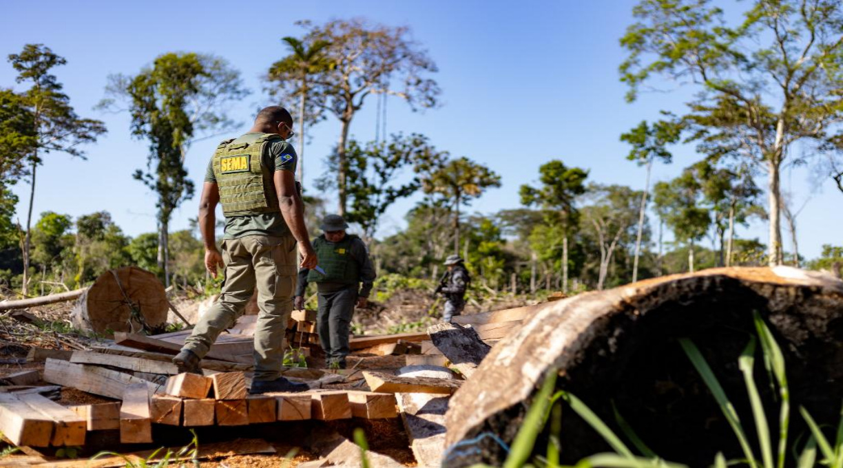 Período proibitivo para exploração do manejo florestal sustentável segue até 1º de abril 1