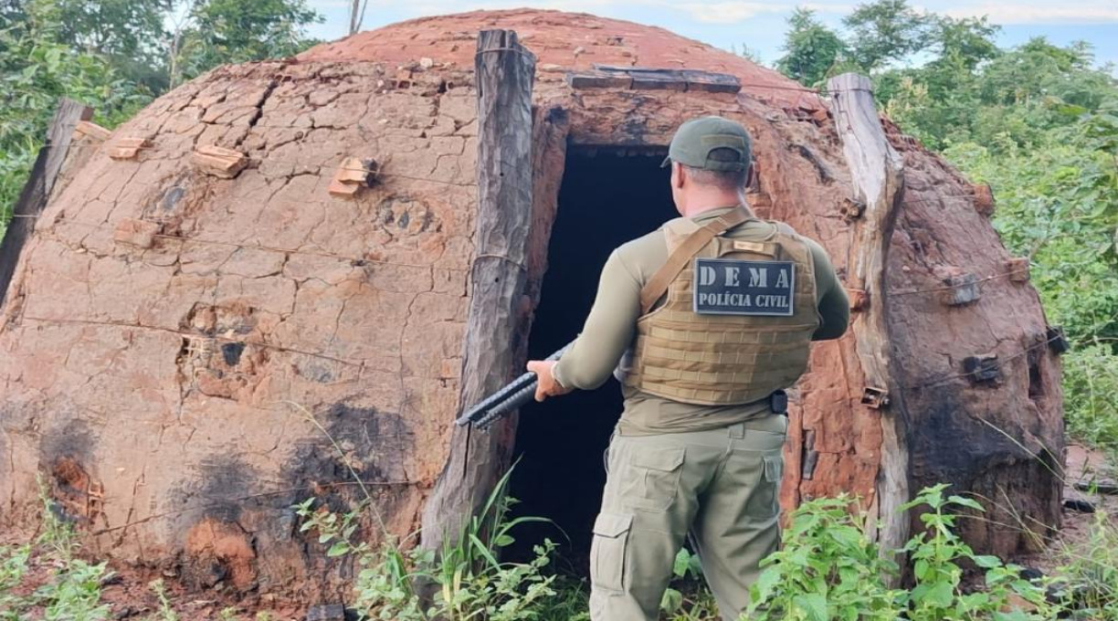 Polícia Civil fiscaliza produção ilegal de carvão em assentamento na Rodovia 070 1