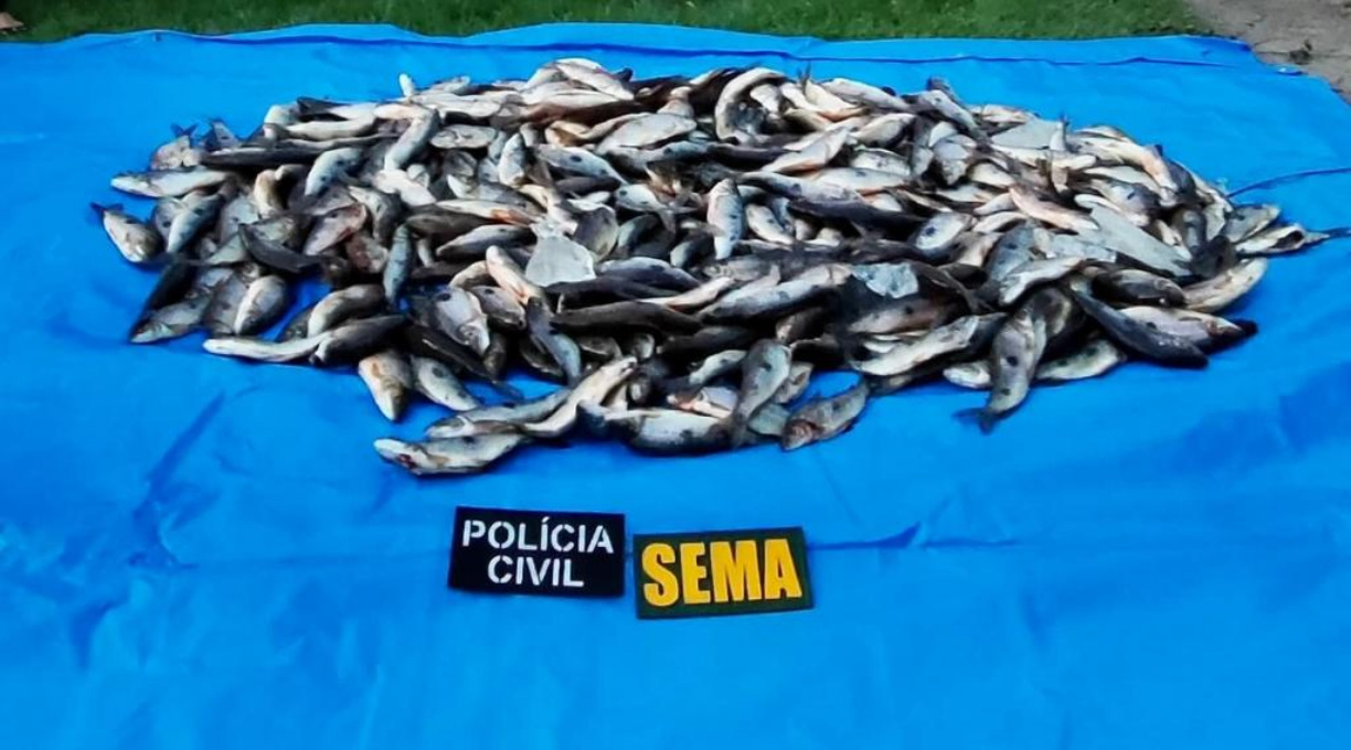 Sema apreende 220 quilos de peixes em operação contra pesca ilegal em Guarantã do Norte 1