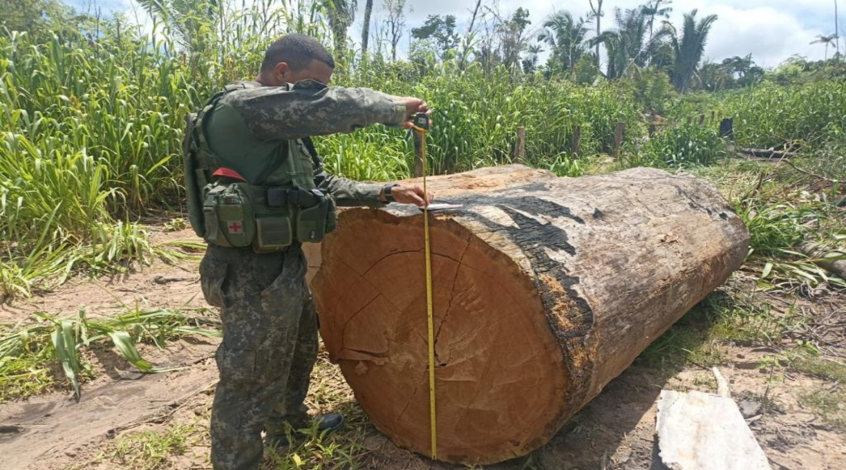 Batalhão Ambiental apreende maquinários, aplica R$ 321 mil em multa e prende homem por exploração ilegal de madeira 1