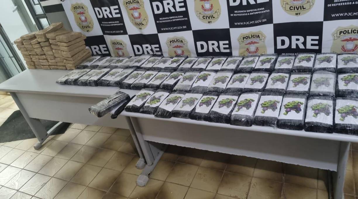 Polícia Civil apreende 100 tabletes de cocaína transportados em caminhão de carga 1