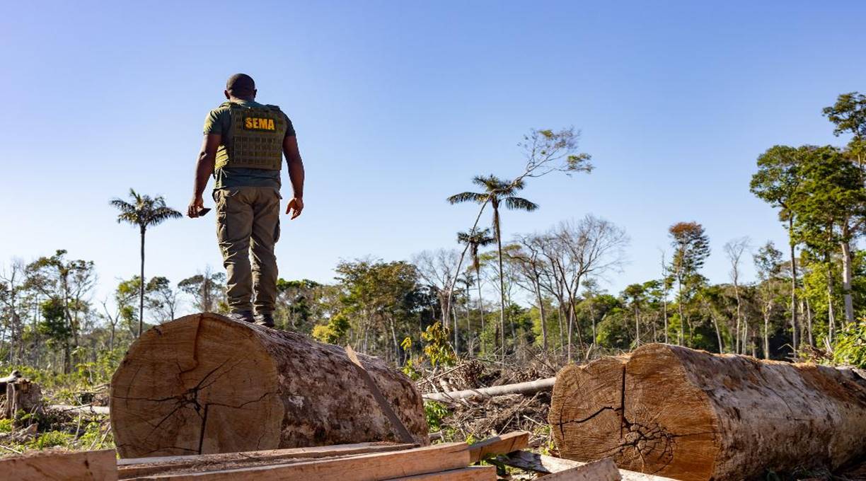 Período proibitivo para exploração do manejo florestal sustentável encerra na próxima segunda-feira (01) 1