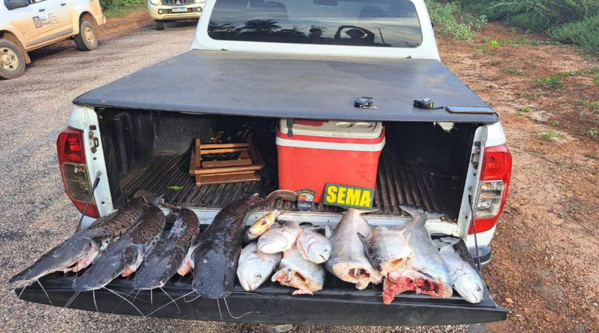 Fiscalização apreende 30 quilos de pescado durante patrulhamento em Sinop 1