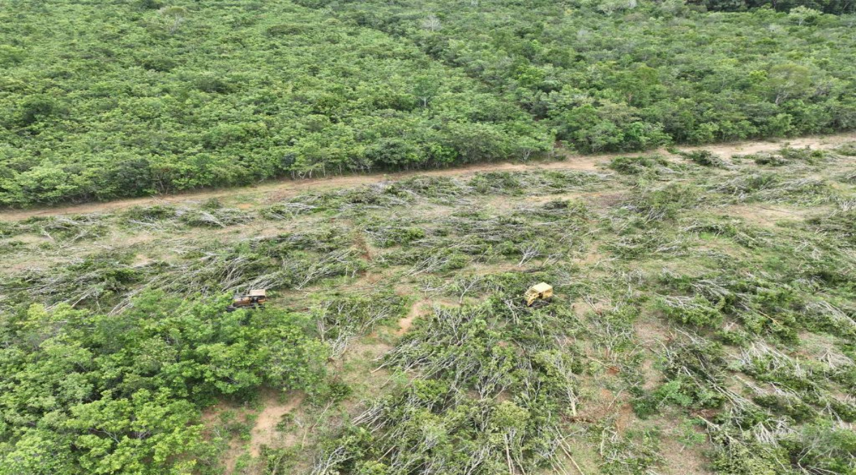 Sema e PM flagram desmatamento ilegal com apoio de drones e tecnologia de geoprocessamento 1