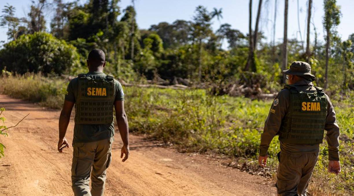 Operações ambientais resultaram na aplicação de R$ 2,3 milhões por crimes ambientais no primeiro bimestre 1