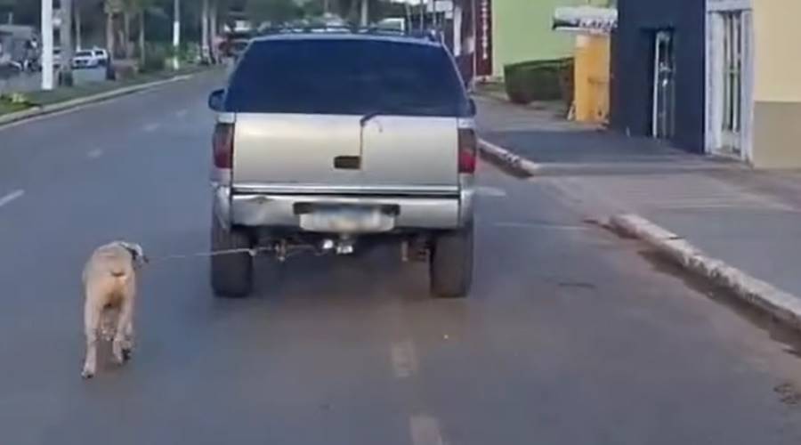 Homem é preso ao ser flagrado por populares puxando cachorro amarrado na traseira de veiculo que conduzia 1