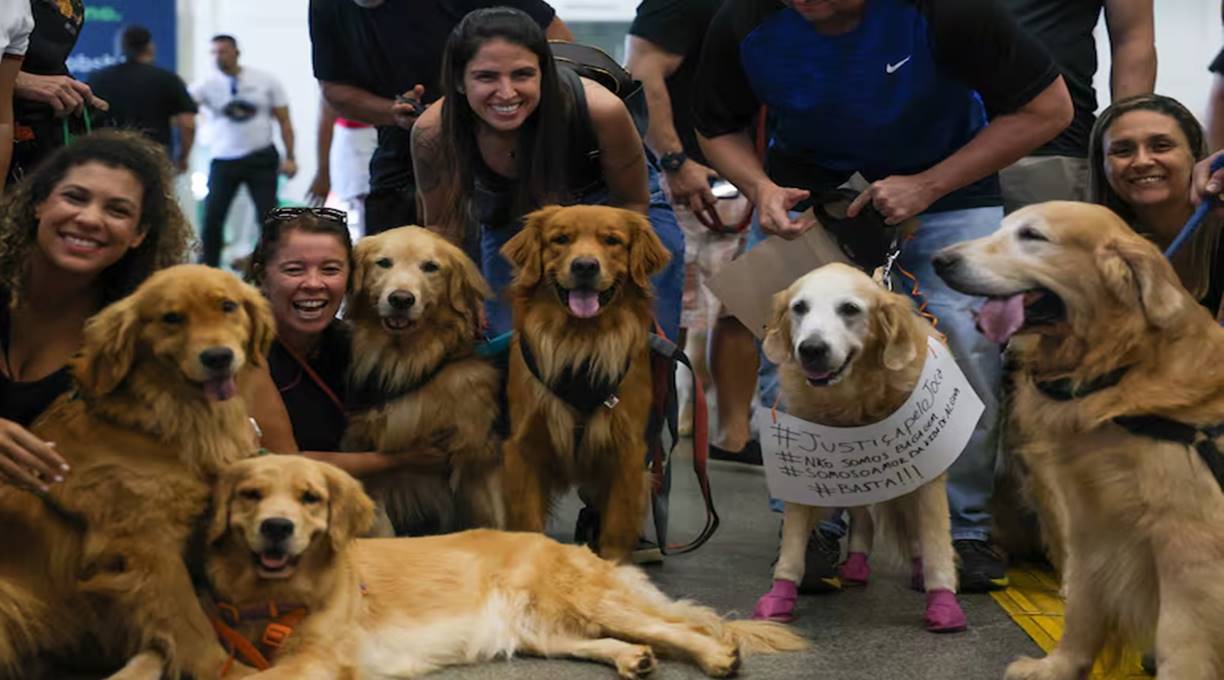 Após morte de Joca, tutores de cachorros fazem manifestações em aeroportos do país 1