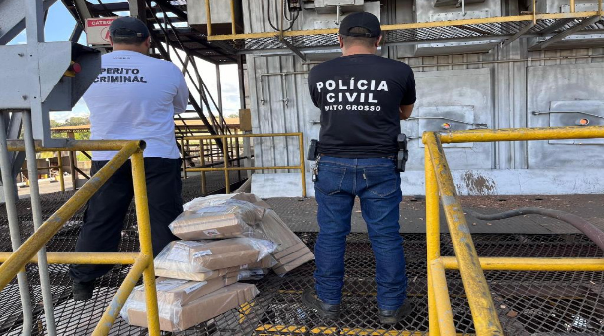 Polícia Civil incinera cerca de 120 quilos de maconha em Alto Araguaia 1