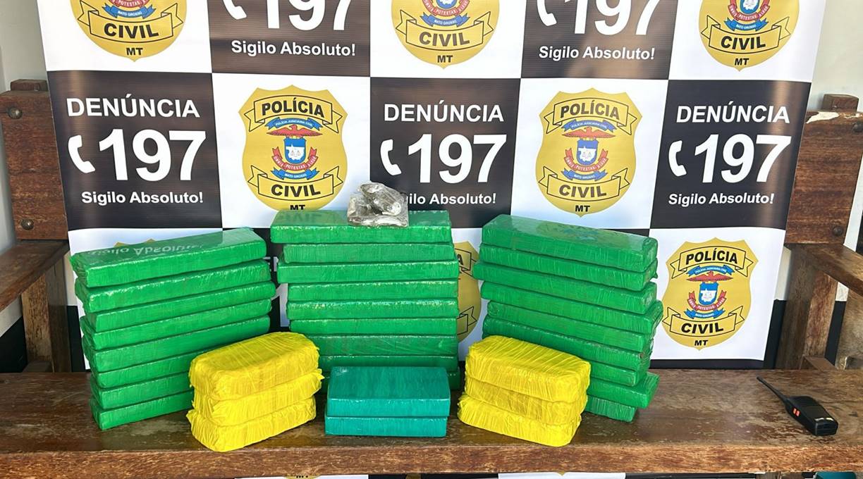 Polícia Civil apreende maconha, pasta base e cocaína que eram transportadas em veículo na BR-364 1