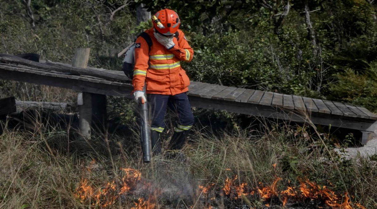 Corpo de Bombeiros alerta população para não fazer uso do fogo: “vamos juntos evitar grandes incêndios” 1