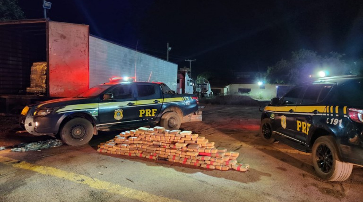 Polícia Rodoviária Federal apreende mais de 200 kg de maconha em Sinop, MT 1