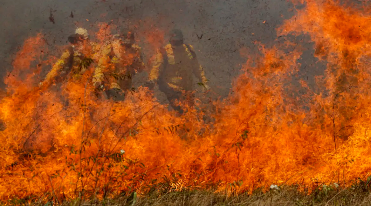 Pantanal acumula em 12 meses mais de 9 mil focos de incêndio 1