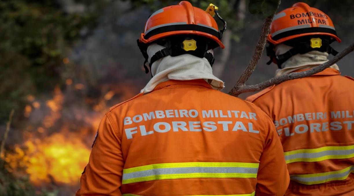 Governo de MT antecipa período proibitivo do uso do fogo no Pantanal 1