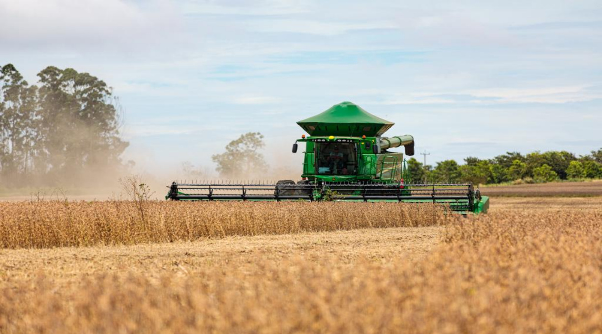 Com menor taxa de desemprego do país, MT tem sobra de vagas de emprego no campo 1