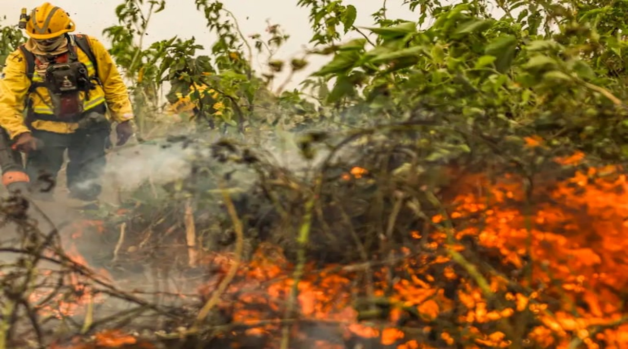 Pantanal poderá ter crise hídrica histórica em 2024, aponta estudo 1