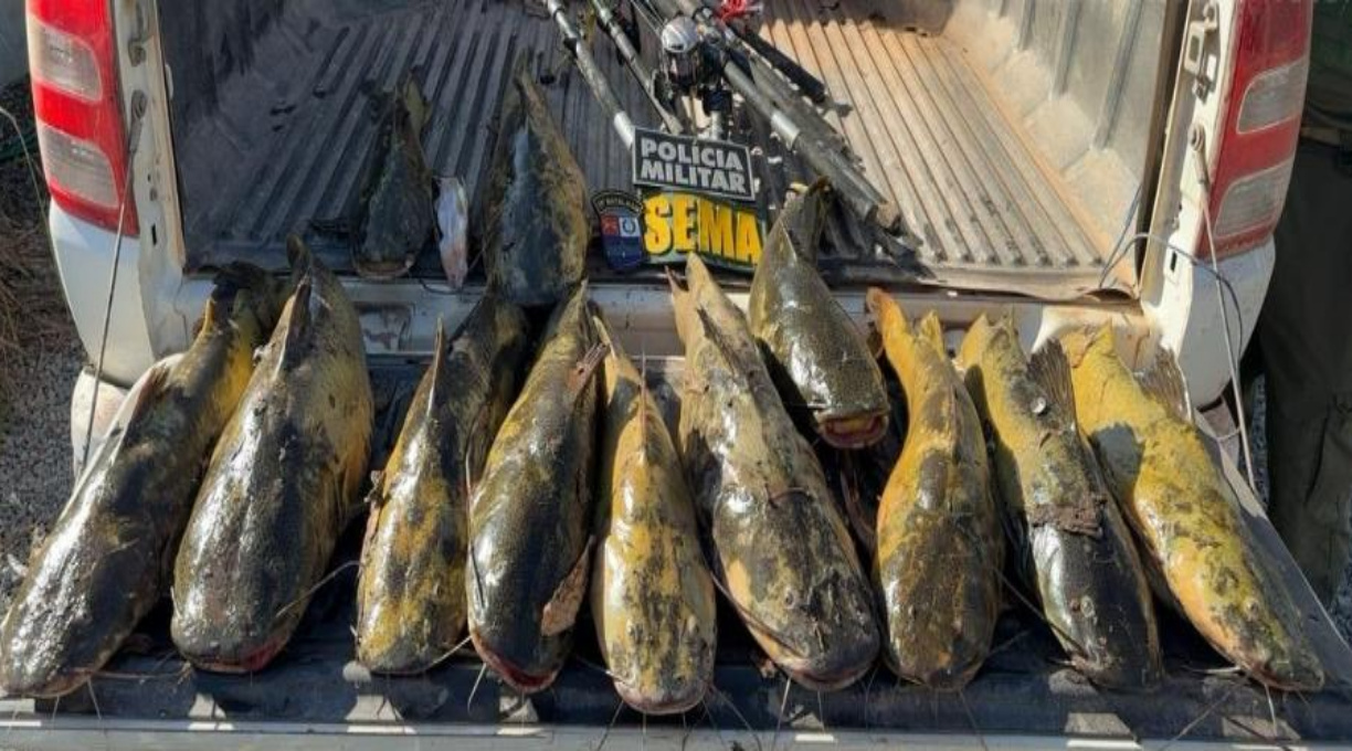 Sema apreende 92 kg de peixes e 47 kg de carnes de animais silvestres em operação contra pesca predatória 1