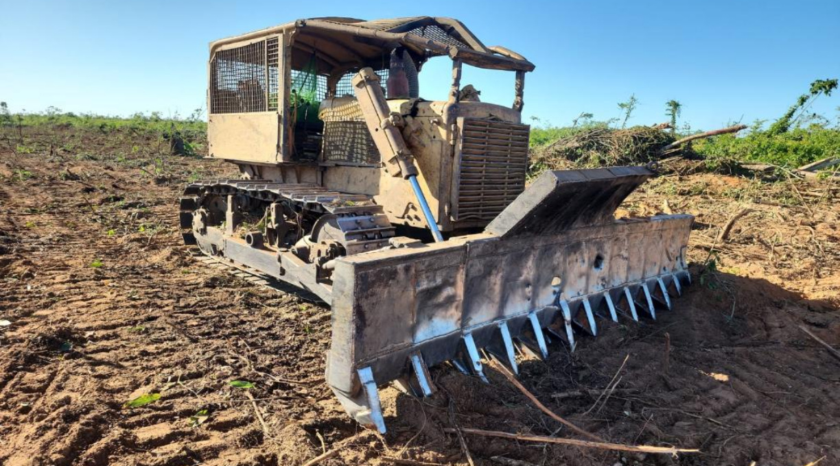 Batalhão Ambiental prende três pessoas e aplica R$ 450 mil em multas por desmatamento ilegal 1