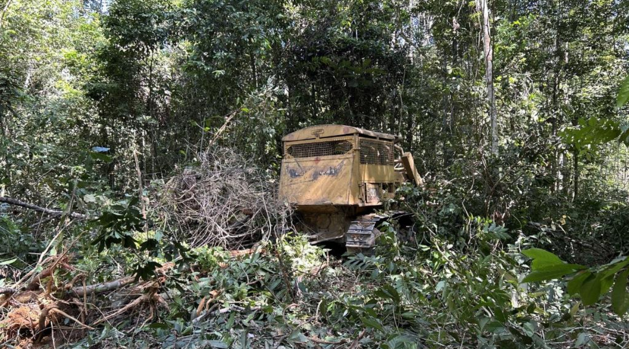 Batalhão Ambiental aplica mais de R$ 2 milhões em multas por desmatamento ilegal e apreende máquinas 1