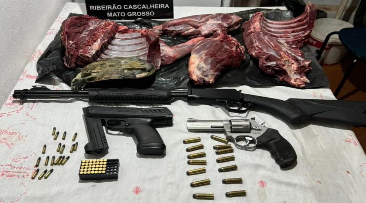 Polícia Civil prende 6 pessoas por crime ambiental durante Operação Curupira 1