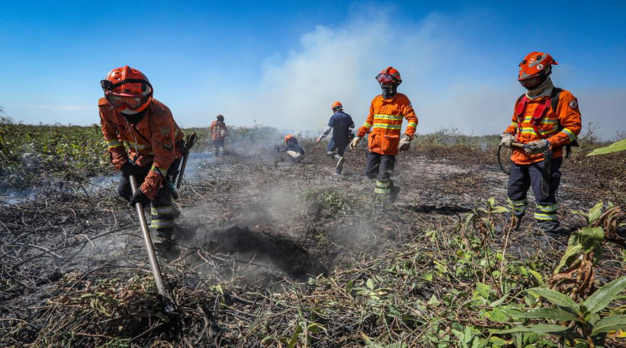 Militares do Corpo de Bombeiros seguem combatendo incêndio no Pantanal 1