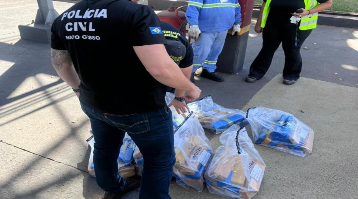 Polícia Civil incinera cerca de 100 quilos de drogas em Alto Taquari 1