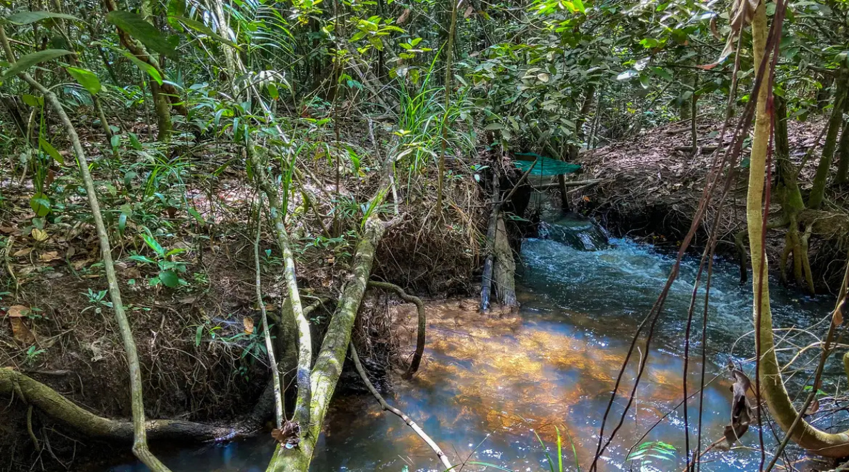 Estudo aponta impacto negativo de mudanças climáticas na agricultura 1