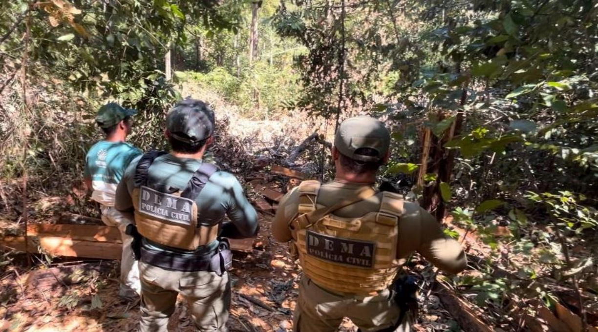 Polícia Civil flagra derrubada de árvores em área de preservação permanente no nordeste de MT 1