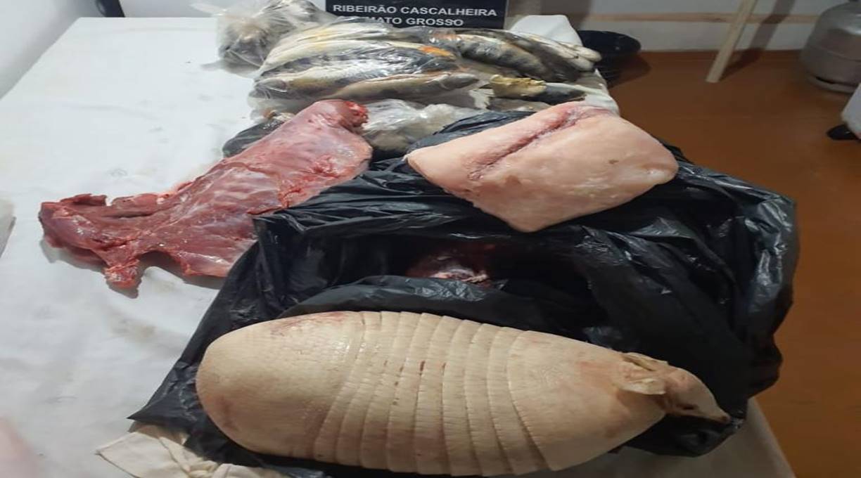 Polícia Civil prende homem por pesca e caça ilegal em Ribeirão Cascalheira 1